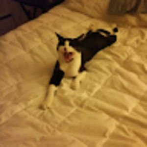 Meet your Posher, Pamela